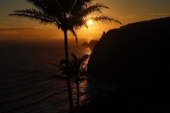 Billon1-Hawaii-Silhouette-sun-palms