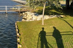 Lengthy Looks from the Patio