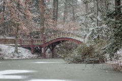 Goodrich002-1.jpg-1