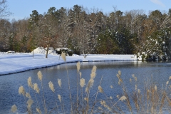 mcdaniel002-4