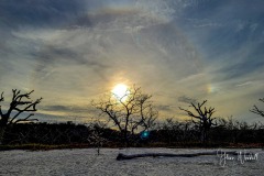 solar-halo