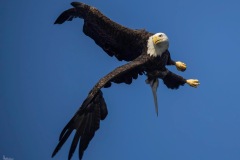 Barbara-Houston-IMG_0790