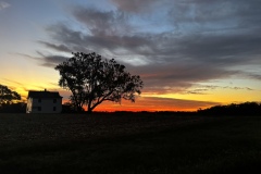 Barbara-Houston-IMG_3127