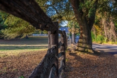 Carol-Annis-20241106-DSC00971-Edit