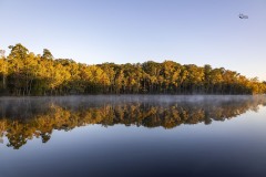 Fall-Colors-Judy.-Jones-2