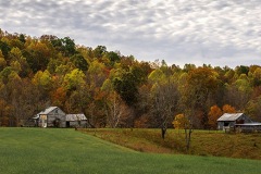 Patrick County