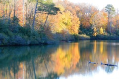 Phil-Bowman.jpg1-Large-2