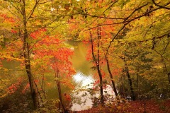 Phil-Bowman.jpg2-Large