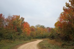 Samantha-McDaniel-1000030122