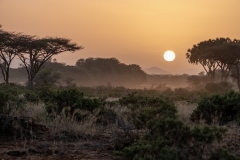 JudyE-Samburu-Kenya-Sunrise-XT2C5069-4s