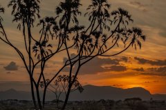 JudyE-Samburu-Kenya-sunset-XT2C4727-3s