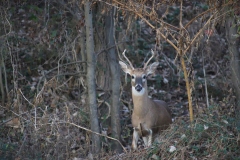 Samantha-McDaniel_29342