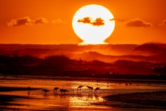 Glenn-Woodell_2876-CR3