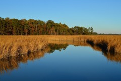 Samantha-McDaniels-2