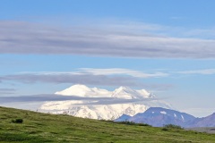 Wayne-Reynolds_6961C