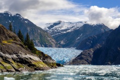 Wayne-Reynolds_8223C