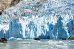 Wayne-Reynolds_8298C