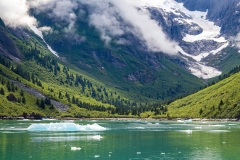 Wayne-Reynolds_8436C