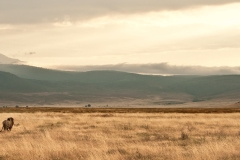 Tanzania 2013 - Day 8 - Ngorongoro Crater